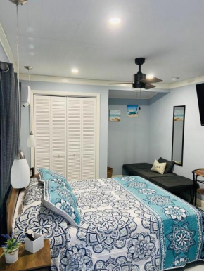Lovely rental unit with independent entrance apt # 1